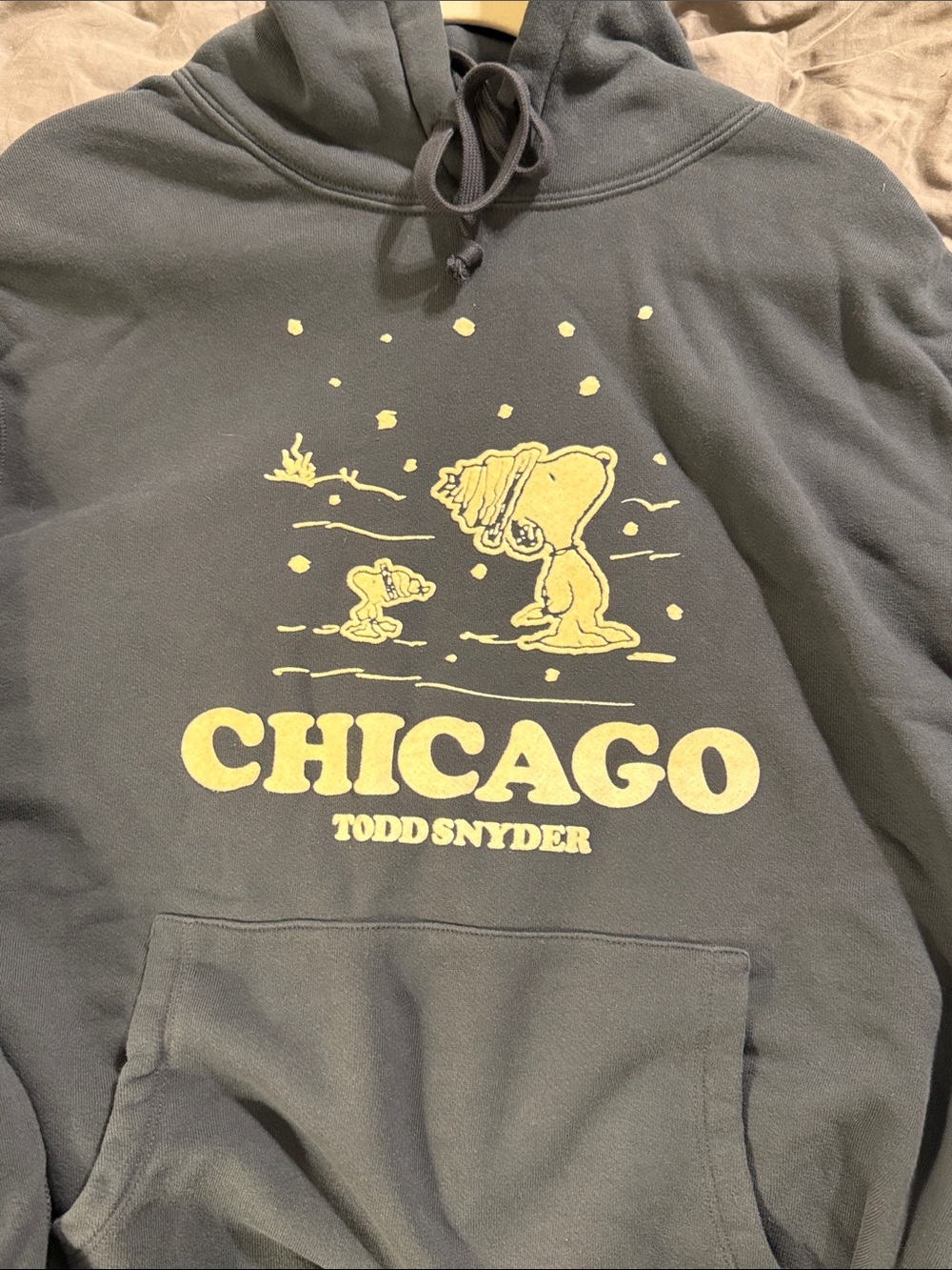 Todd Snyder x Peanuts Chicago city collection hoodie. NWT.